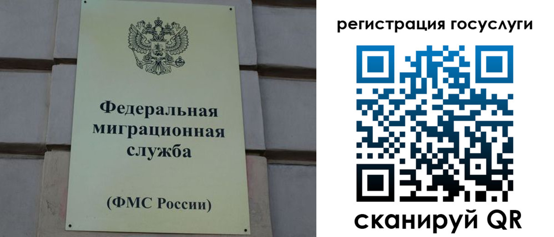 временная регистрация поиск в Ивантеевке